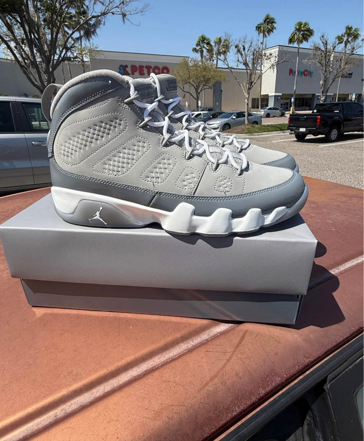 Air Jordan 9 Retro 'Cool Grey'