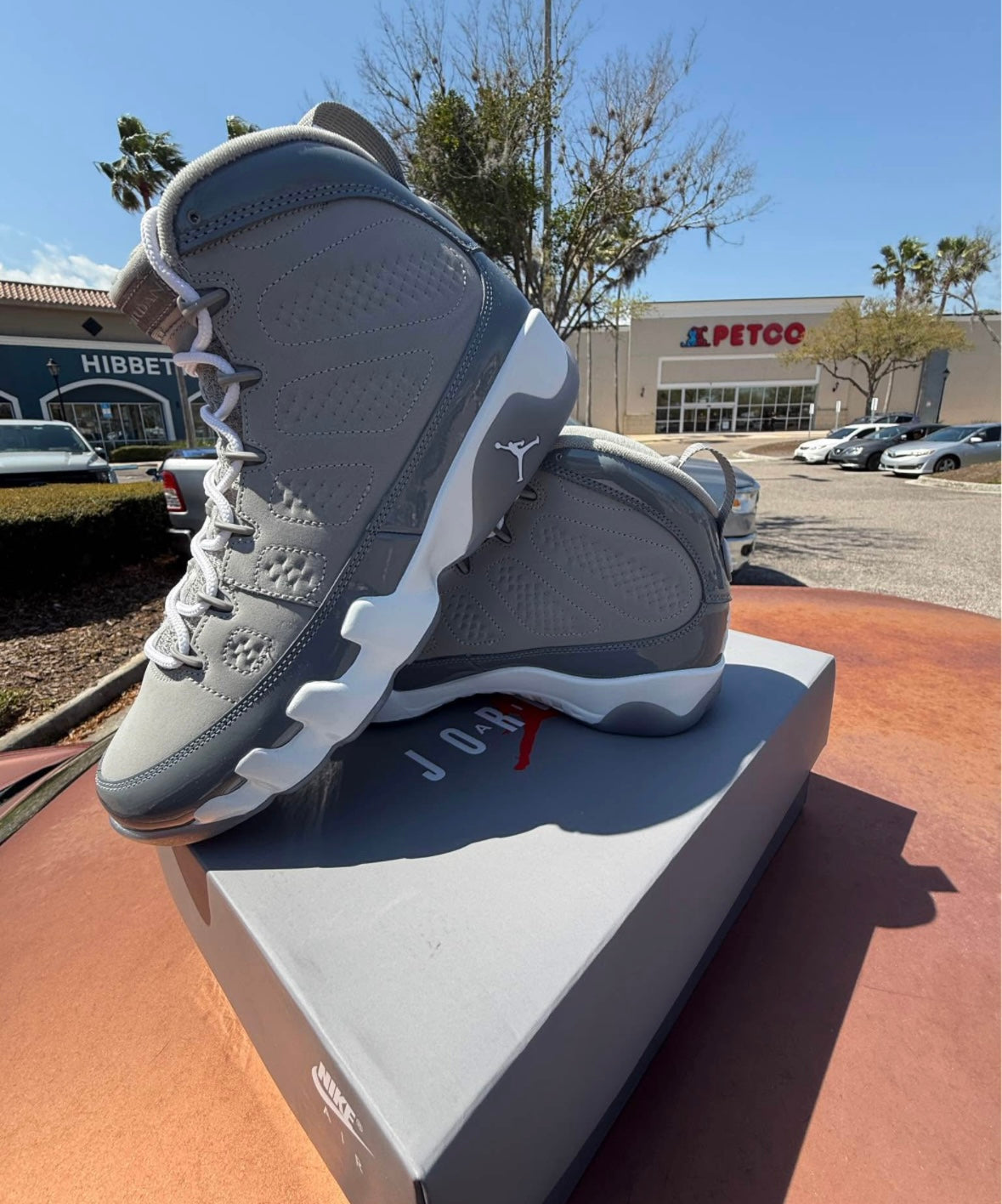 Air Jordan 9 Retro 'Cool Grey'